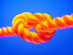 勞務(wù)派遣--全程、轉(zhuǎn)移、減員、項(xiàng)目及試用派遣